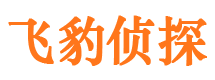 东山市场调查